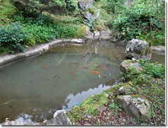 拝殿裏の池